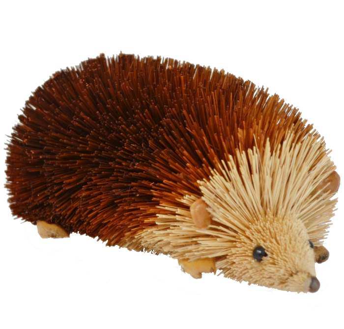 Brushart Bristle Brush Animal Hedgehog Brown 6